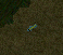 Image:Electric_eel.gif