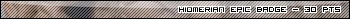 Image:Homerianepicbadge.jpg