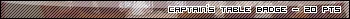 Image:Captainbadge.jpg