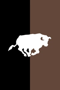 "Grab The Bull By The Horns"