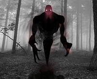 Shadow Wraith