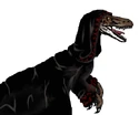 Image of a Nall