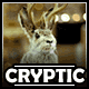 Jack's Cryptic Forum Avatar