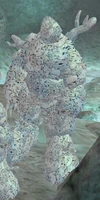 Coral Sentinel