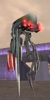 Drone Coordinator