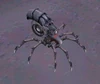 Spiderling