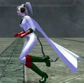 Winter Costume pieces