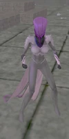 Night Widow