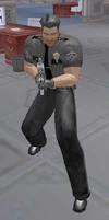 Private Security Captain