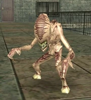 Rikti Pet