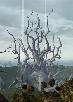The Tree of Thorns