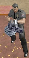 Private Security Captain