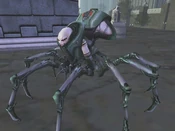Rogue Tarantula Mistress