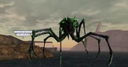 The Jade Spider attacks Siren's Call.