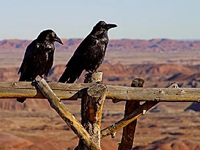 Image:Roadtrip 16 bg 021504.jpg