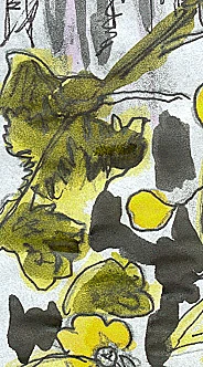 Image:yellowflores.jpg