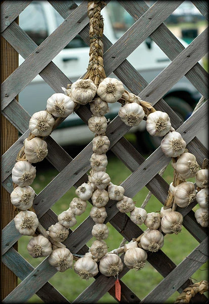 Image:Peace Sign made of Garlic.jpg