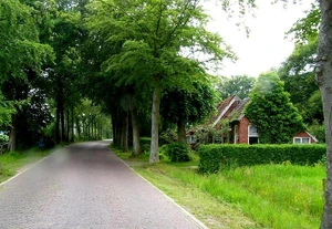 Altenaweg (c) ap.vanderkaap peize