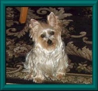 Image:Molly_favorite_picture.jpg