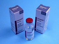Insuvet Neutral--U100 bovine R/Neutral fast-acting insulin.