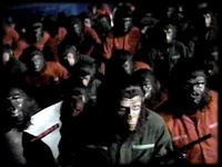 Caesar heads the ape revolution