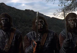 Aldo's gorilla soldiers