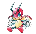 Image:Coxyclaque.png