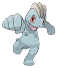 Image:Machoc.png