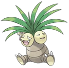 Image:Noadkoko.png