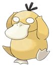 Image:Psykokwak.png