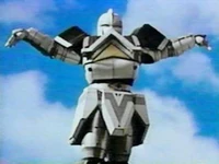 White Kark