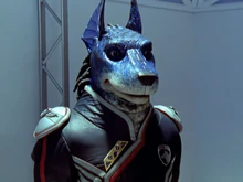 Anubis Cruger