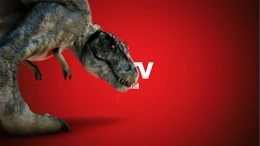 Trex-uktvbbc