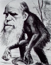 Did Darwin's critics instinctually know how to ridicule an opponent?