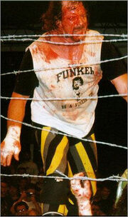 180px-Terry-Funk.jpg