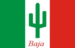Bandeira nacional