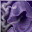 Image:Petrified Stench.png
