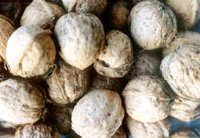 Curried Nut Roast