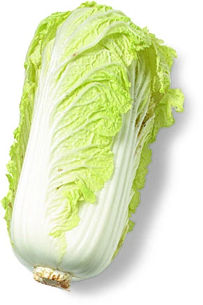 Chinese Cabbage