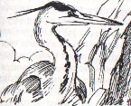 Image:Rulango.gif
