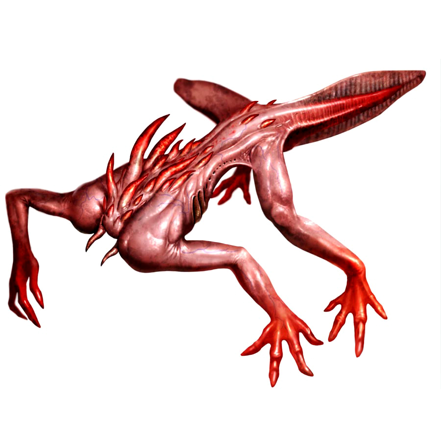 Albinoid Albinoid
