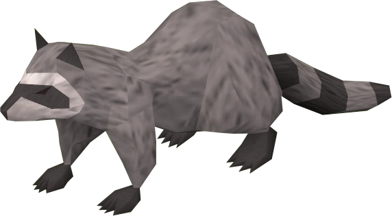 File:Raccoon.png