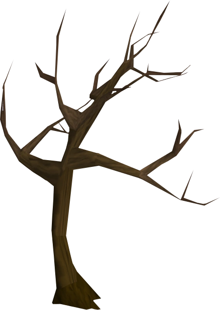 Windswept tree