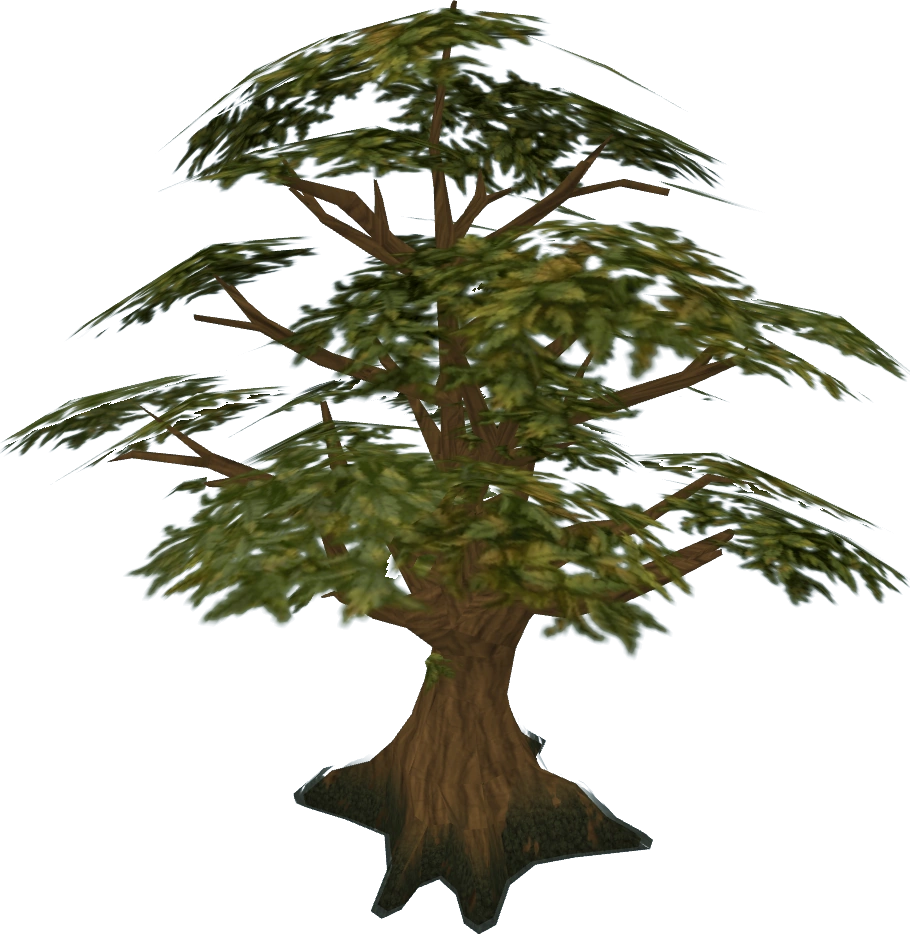 Oak_tree.png