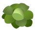 Symbol of Brassica Prime