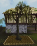 Click for a larger image