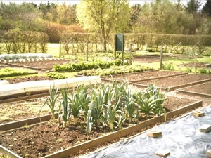 raised beds, Yalding Organic Gardens, April