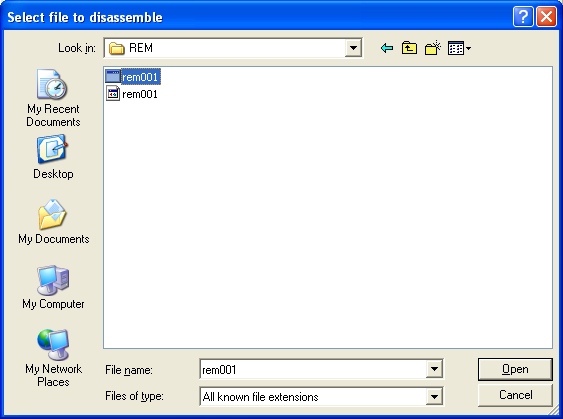 Open the rem001 executable