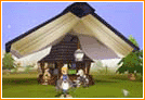 Image:Lime Library.gif