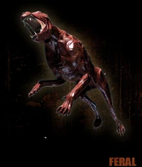 Feral.jpg